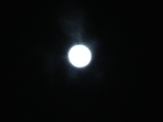 ￼￼kayla_parker_moon1_15_02_03