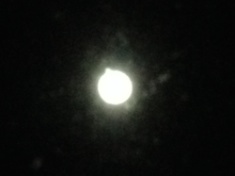 ￼￼kayla_parker_moon1_16_01_24