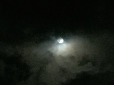 ￼￼kayla_parker_moon1_16_09_16