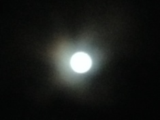 ￼￼kayla_parker_moon2_15_03_05