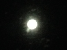 ￼￼kayla_parker_moon2_16_01_24