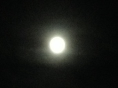 ￼￼kayla_parker_moon2_16_03_23