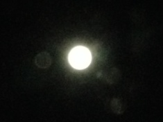 kayla_parker_moon1_15_07_31