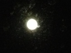 kayla_parker_moon1_15_08_31