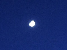 kayla_parker_moon1_17_04_01