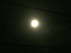 kayla_parker_moon1_17_11_03