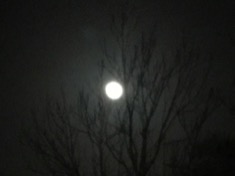 kayla_parker_moon2_18_11_22